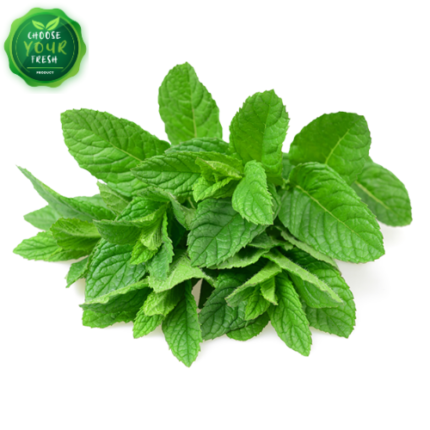 Mint Bundle | Podina 1-Gaddi