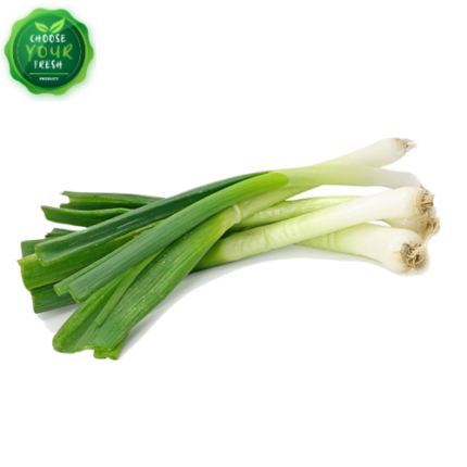 Green Onion | Hari Piyaz bundle– ہری پیاز